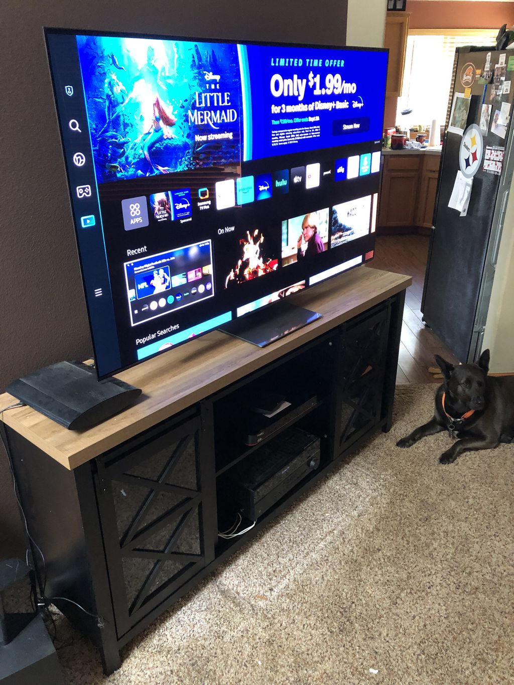 Projects and media