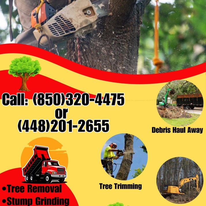 R&M lawn and land services llc