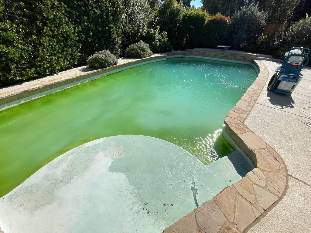 Swimming Pool Cleaning, Maintenance, and Inspection