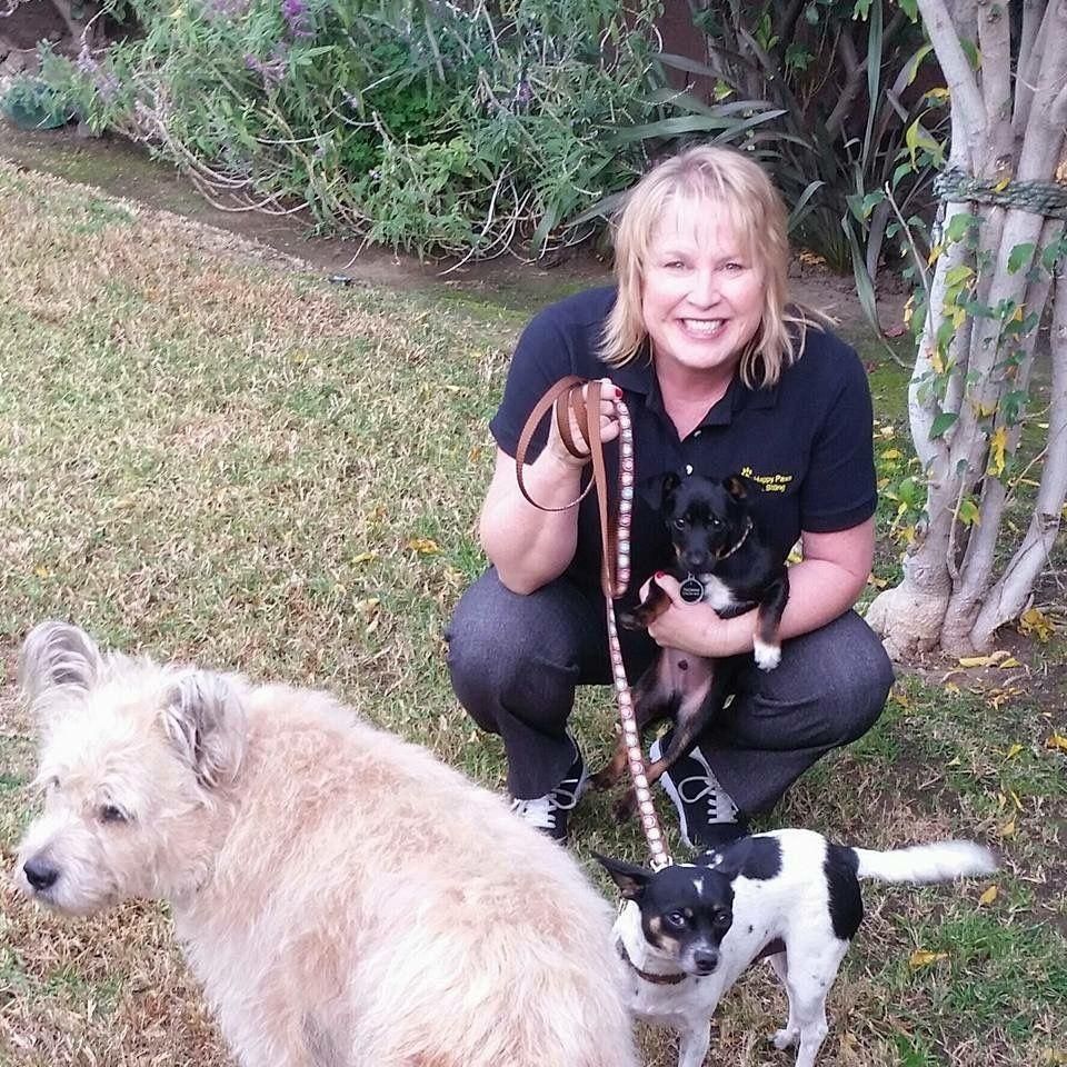 Happy Paws dog walk and petsitting
