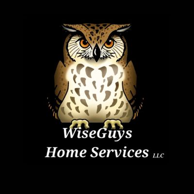 Avatar for Wise Guys Home Services