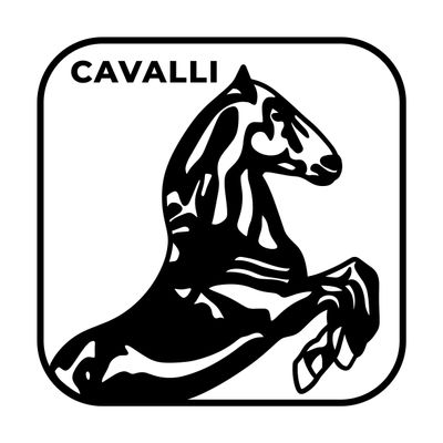 Avatar for Cavalli Roofing & Construction