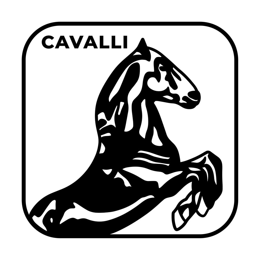 Cavalli Roofing & Construction