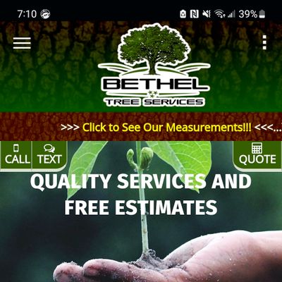 Avatar for Bethel Tree Services