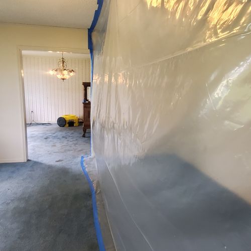 Mold Inspection and Removal