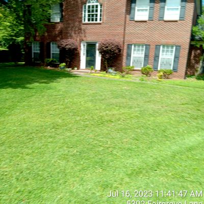 Avatar for Quality lawn care