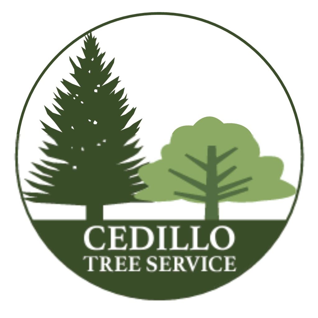 Cedillo Tree Service