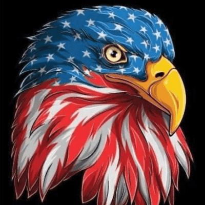 Avatar for Veterans Carpet Cleaning Services