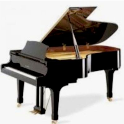 Avatar for Dr Keys Piano Tuning Service