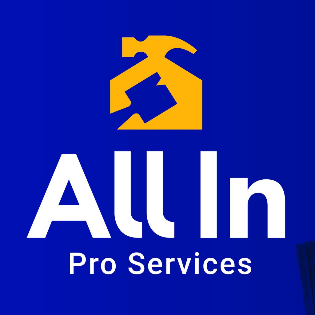 All In Pro Services Llc