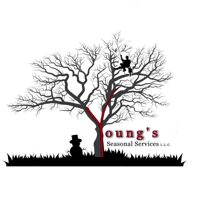 Youngs Seasonal Services LLC