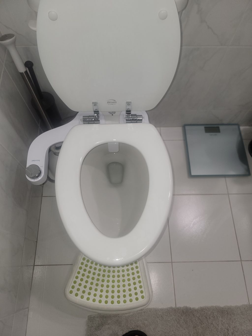 Toilet Repair