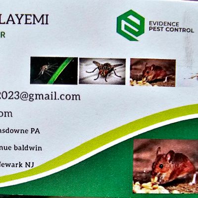 Avatar for Royal  Evidence Pest Control