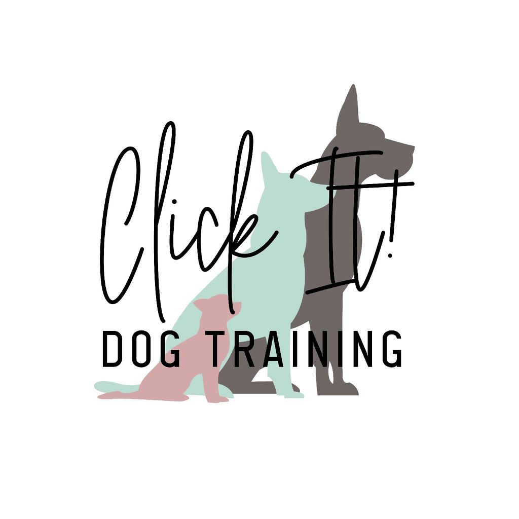 Click It! Dog Training