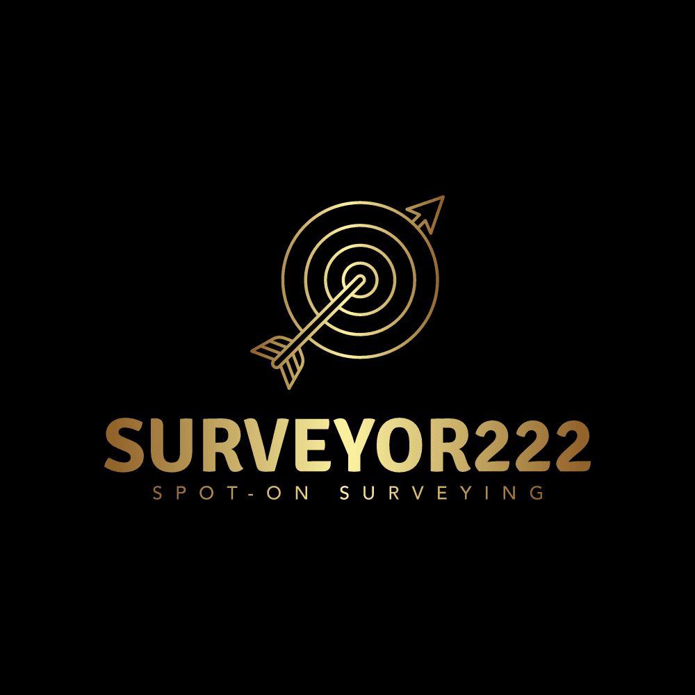 SURVEYOR222
