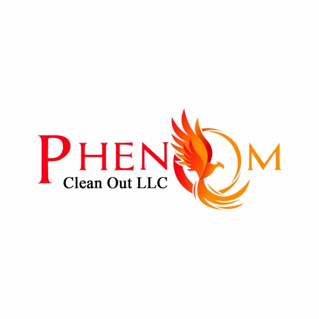 Phenom Clean Out