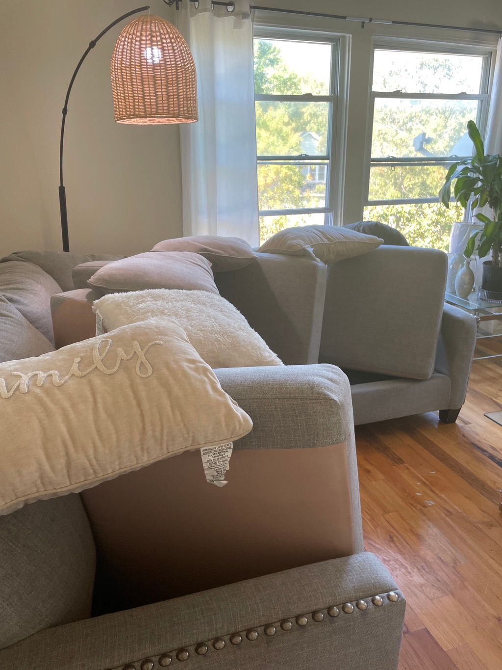 Customer photos