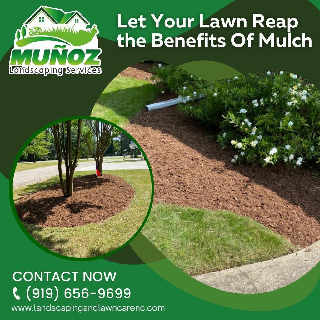 Muñoz landscaping services