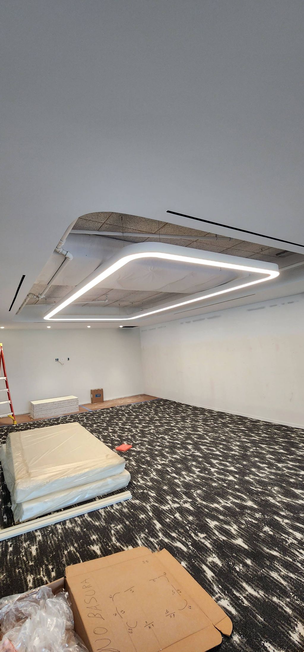 Projects and media