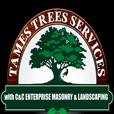 Avatar for C & C Enterprise partnership  Tames Tree services