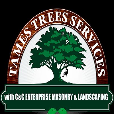 C & C Enterprise partnership  Tames Tree services