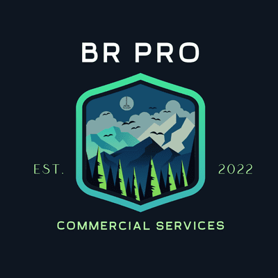 Avatar for BR PRO