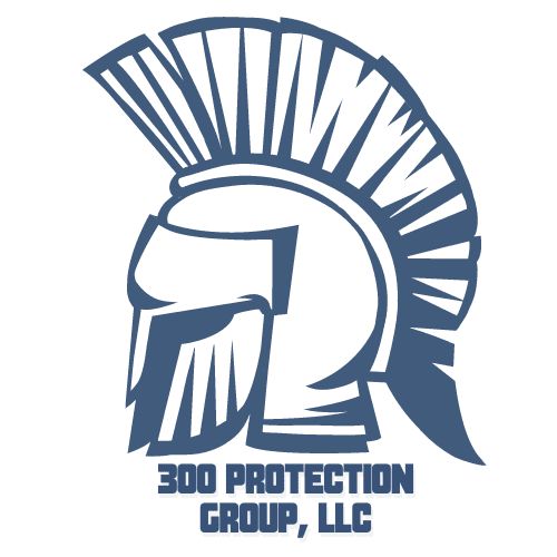 300 Protection Group, LLC