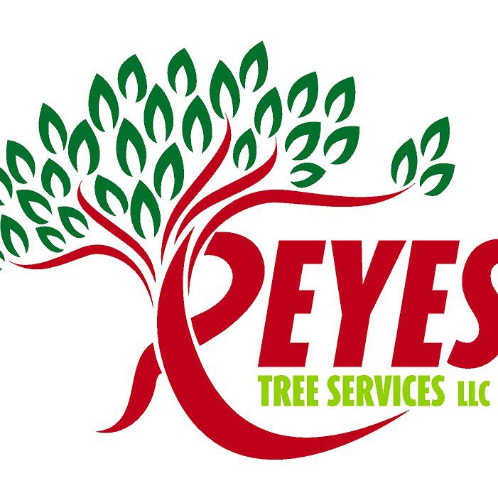 Reyes Tree Service LLC