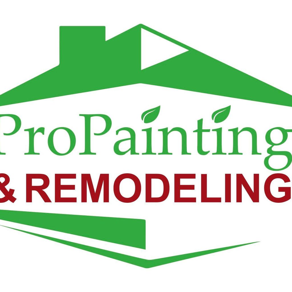 ProPainting & Remodeling