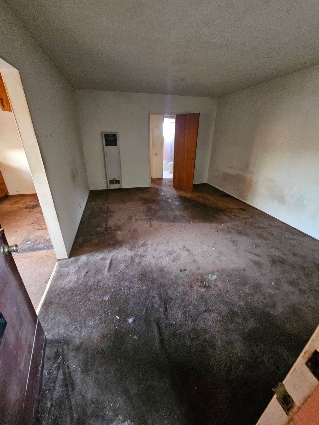 carpet removal 