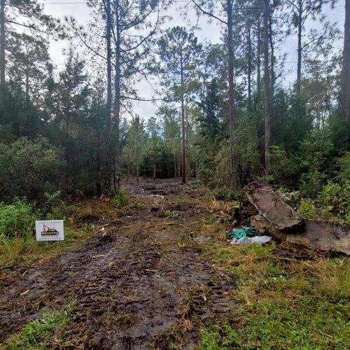 Land Clearing in Hastings Fl