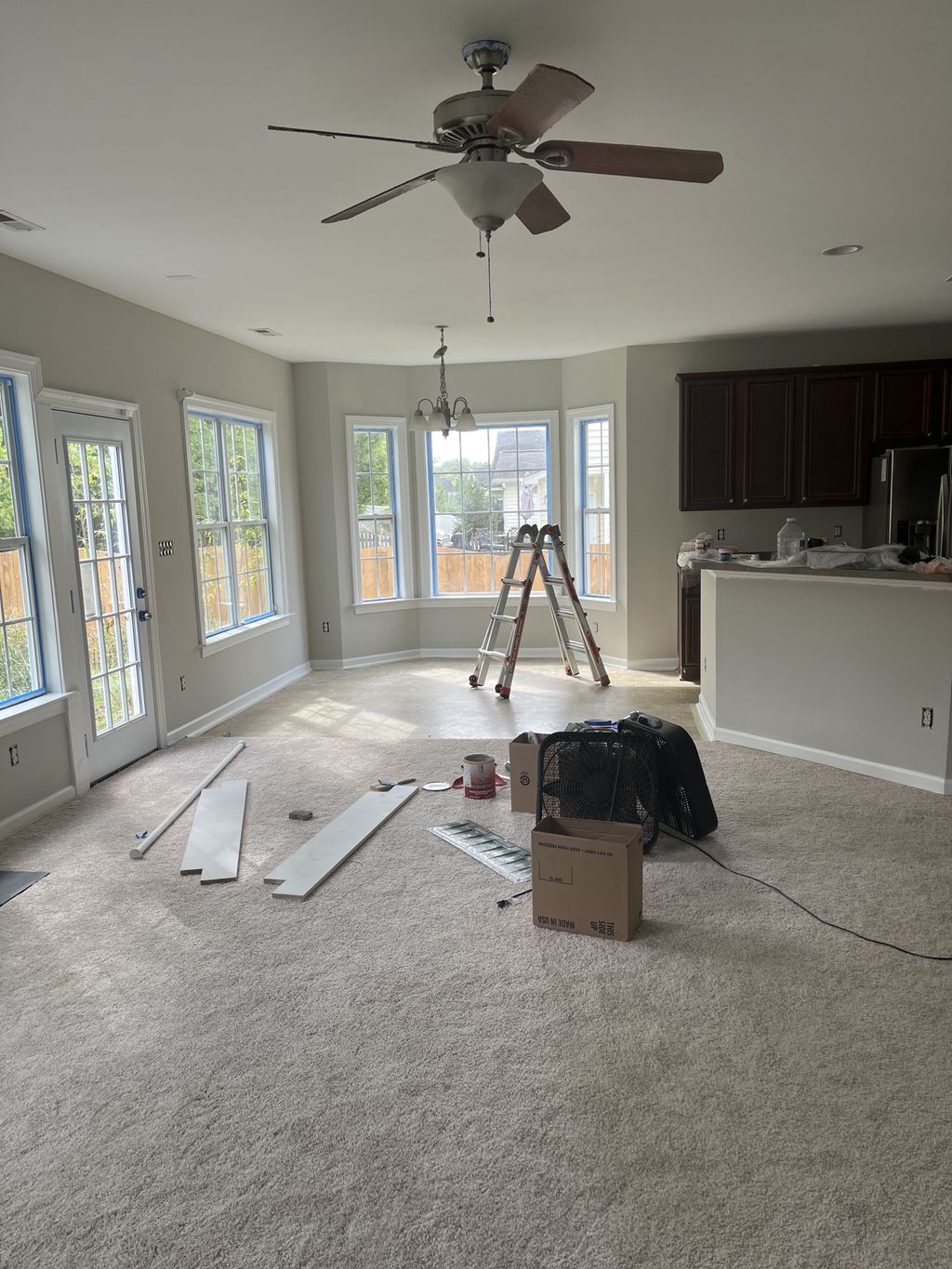 Projects and media