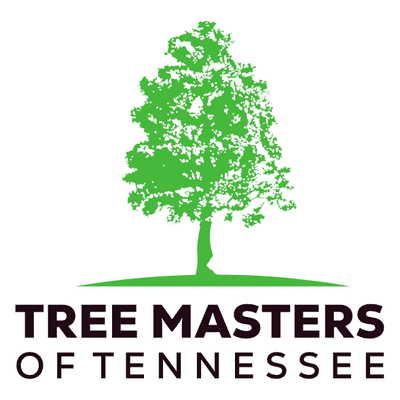 Avatar for Tree Masters of Tennessee