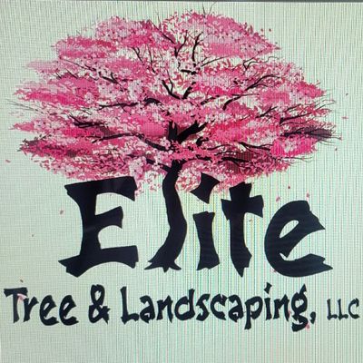 Avatar for Elite tree and landscape