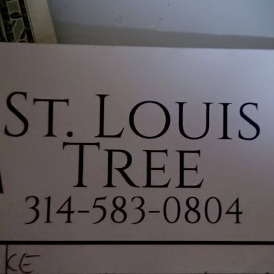Avatar for St. Louis Tree