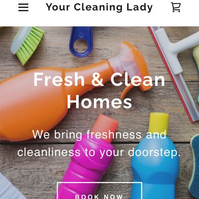 Avatar for Your Cleaning Lady