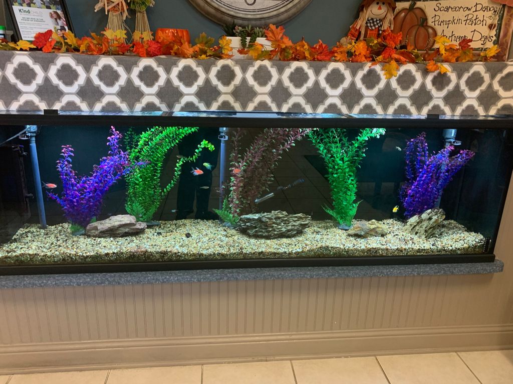 Customer photos