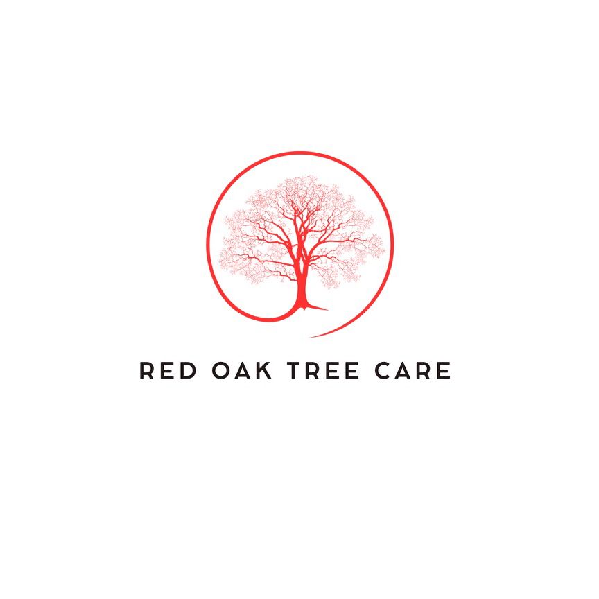 Atlanta Red Oak Tree Care