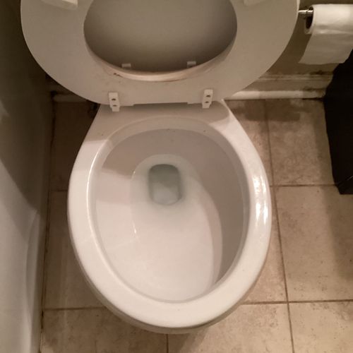 After photo: Unclogged toilet