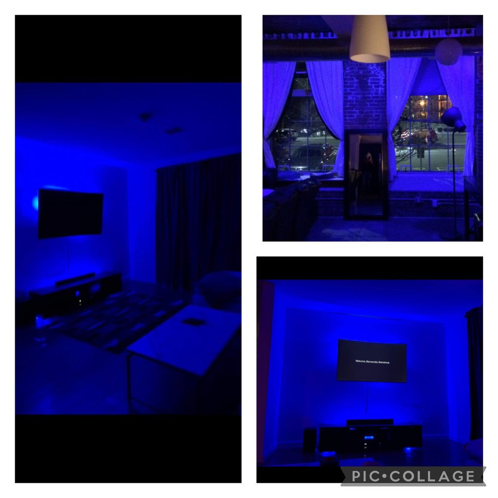 Projects and media