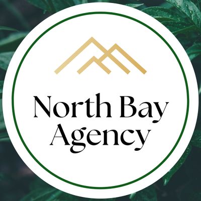 Avatar for NorthBay Agency | SMM, Logo & Web Design