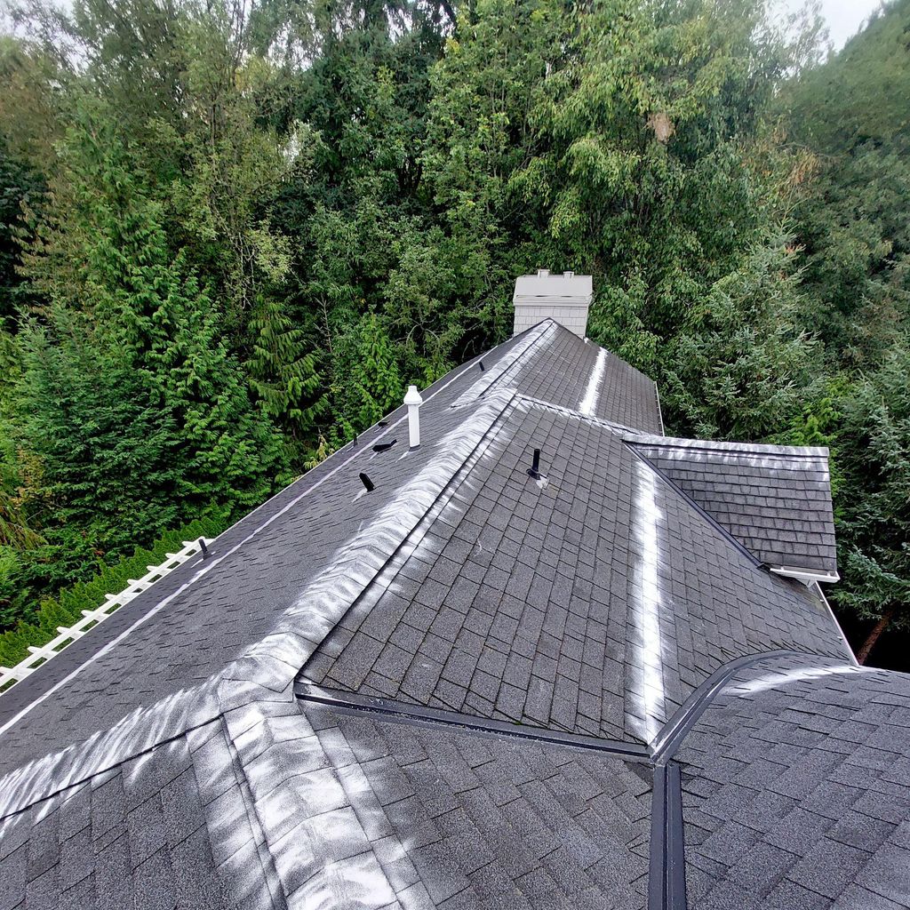 A plus roof cleaning and pressure washing