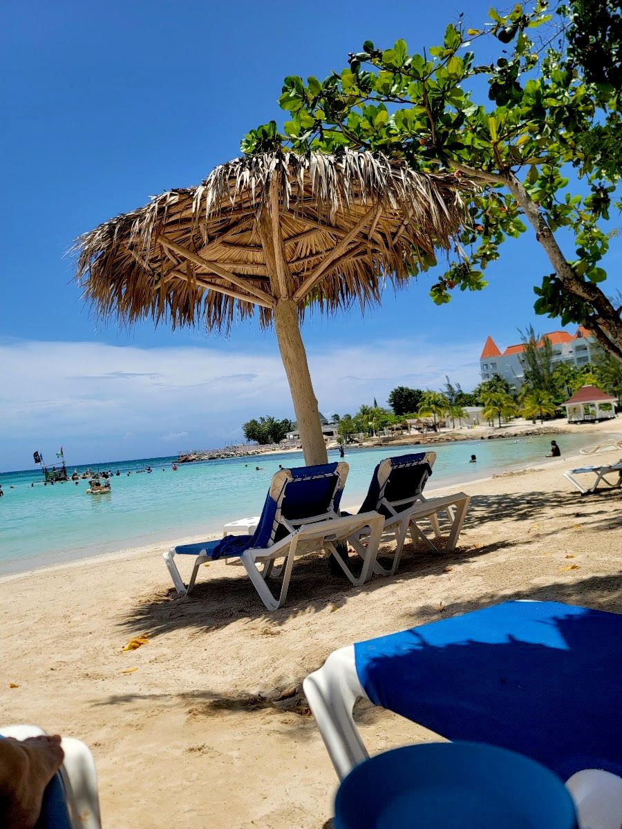 Lets go to Jamaica