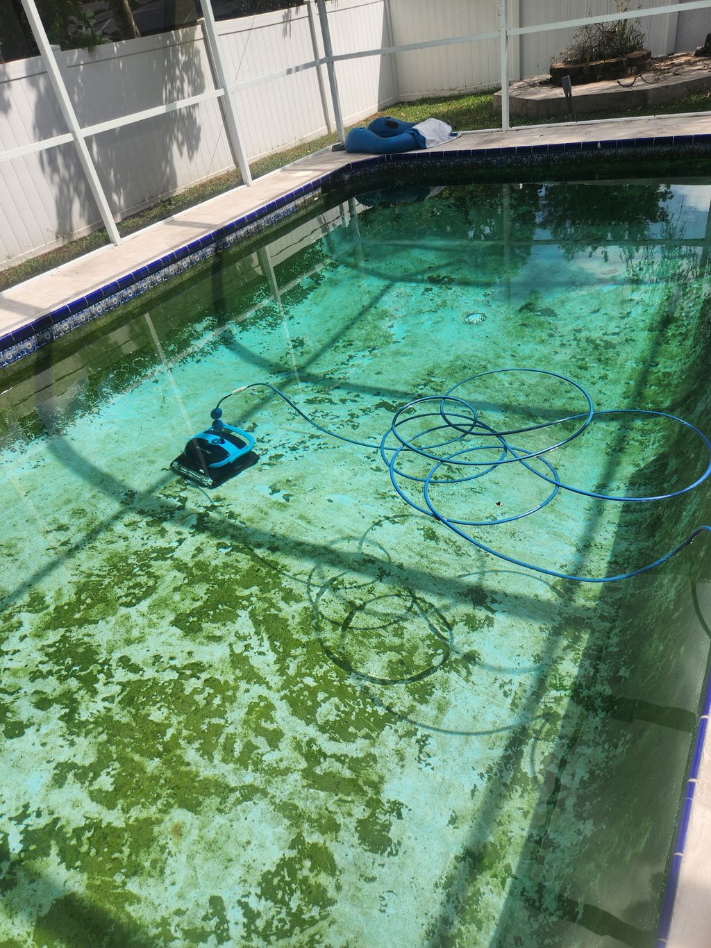 Swimming Pool Cleaning, Maintenance, and Inspection