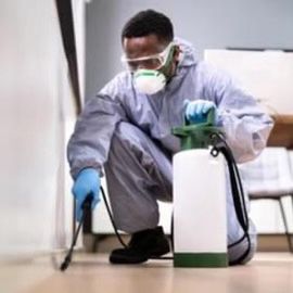 HeadQuarters  Pest Control