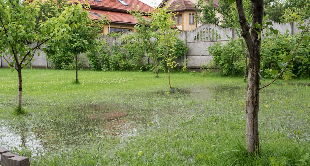 flooded yard and garden