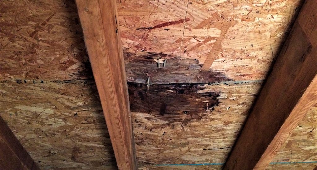 attic wood rot due to leak in roof