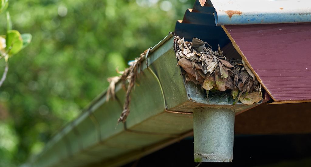 clogged gutters