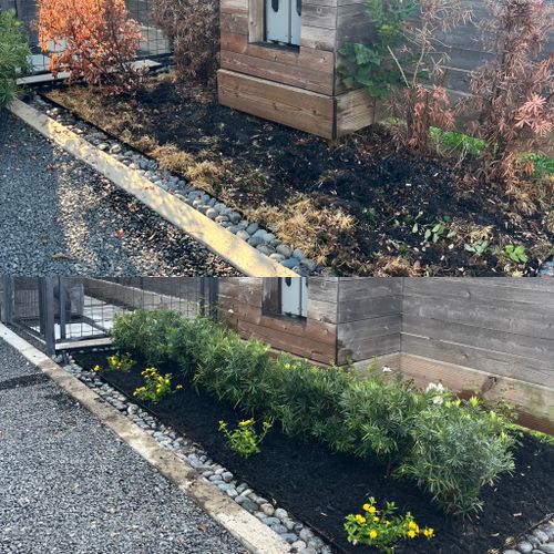 Shrub Trimming and Removal