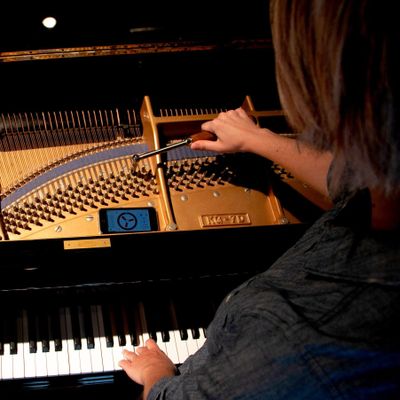 Avatar for Alanah Sabatini - Piano Tuner